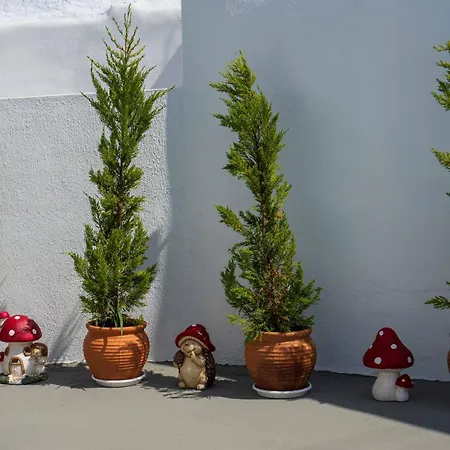 Santorita Suites *